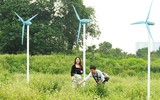 Lạc lối giữa cánh đồng hoa tam giác mạch ở Hà Nội